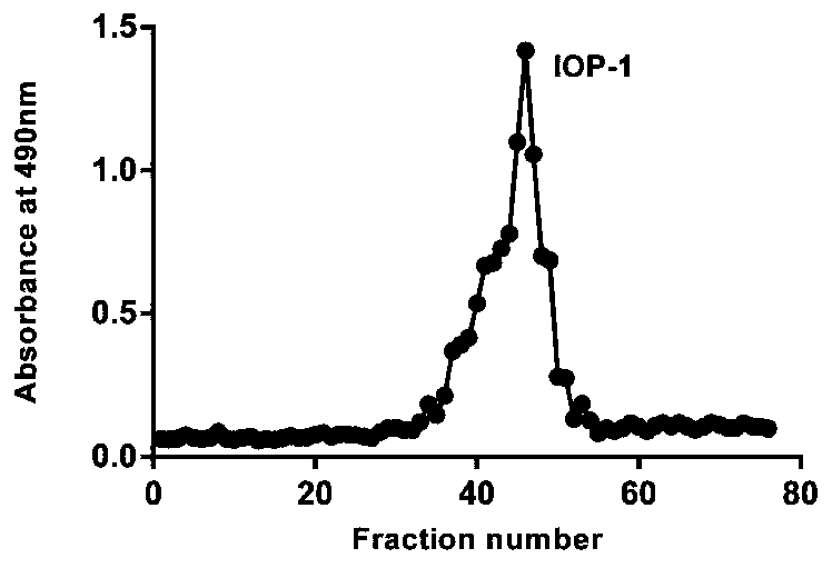 Preparation method and application of inonotus obliquus polysaccharide