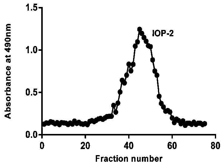 Preparation method and application of inonotus obliquus polysaccharide