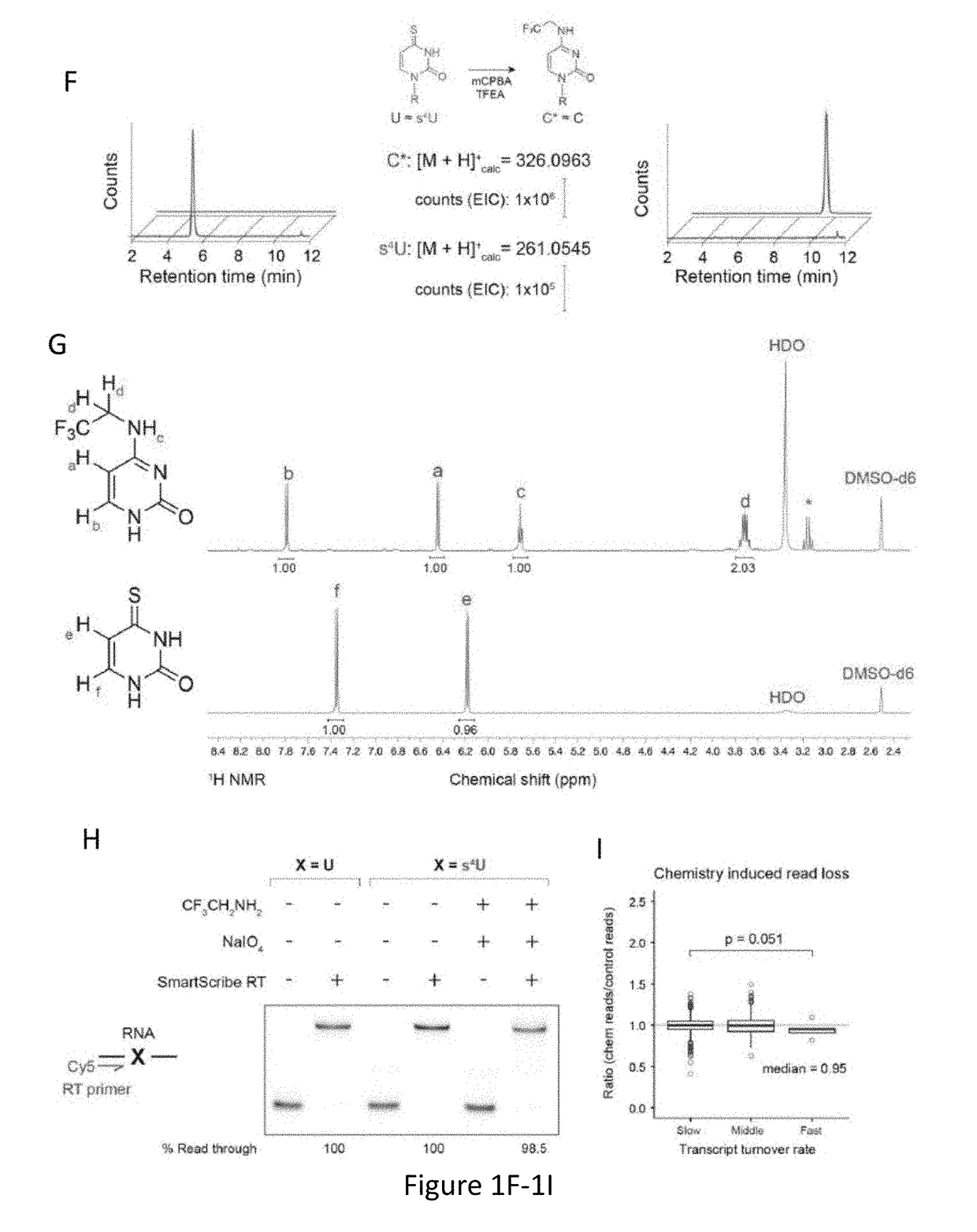 Time Lapse Sequencing: A convertible-nucleoside approach to enrichment-free analysis of RNA dynamics