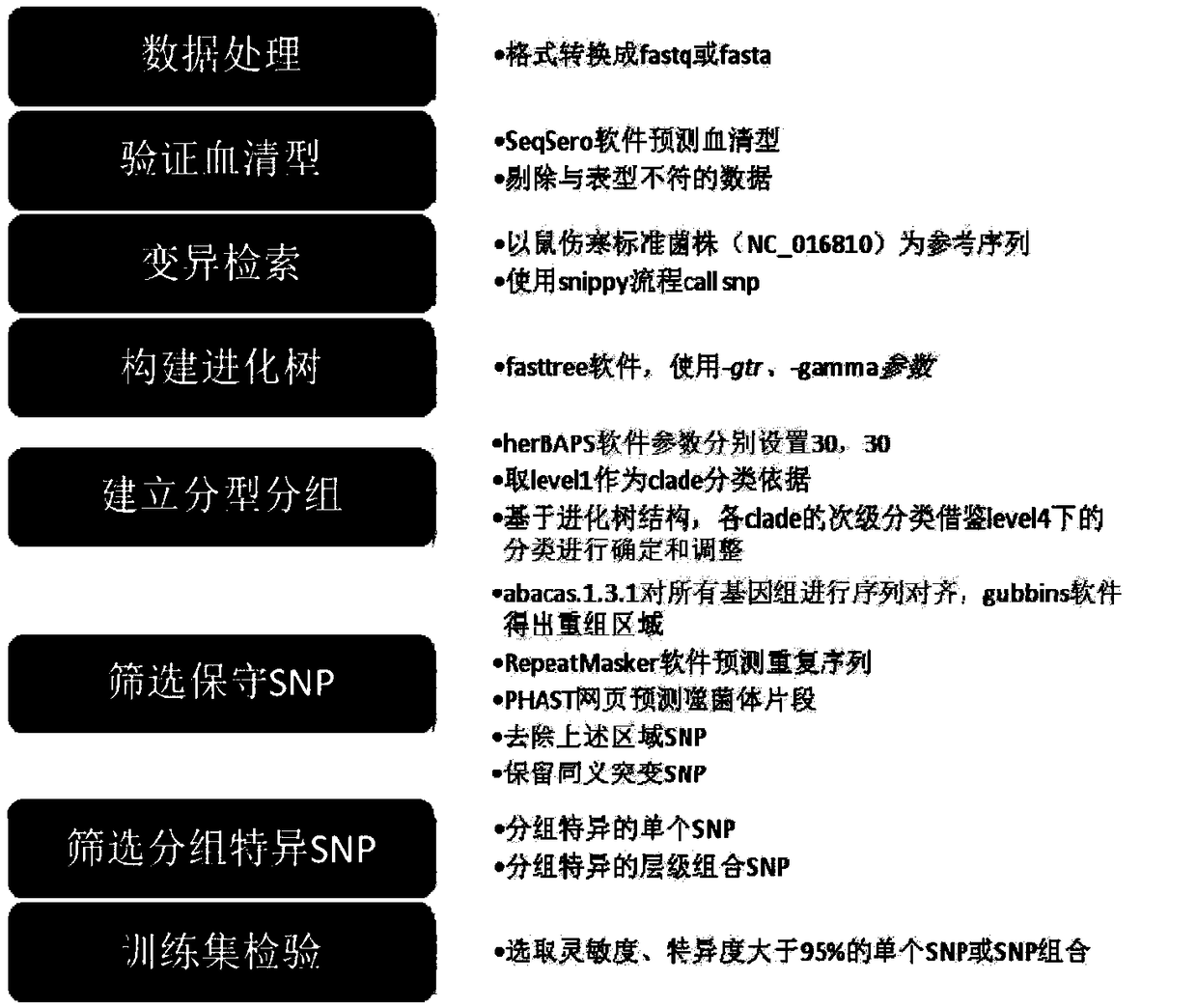 Molecular subtyping method for salmonella typhimuria and specific SNP locus combination