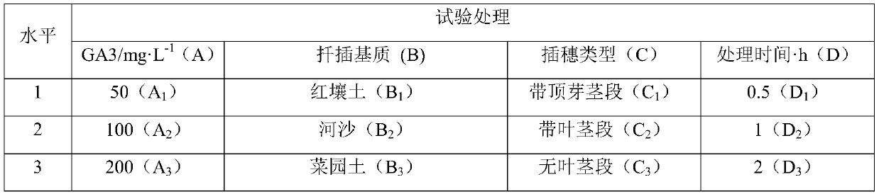 Cutting Propagation Method of Shorthair Golden Grass