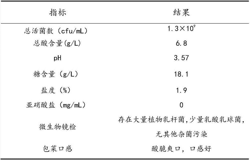 Vegetable fermenting agent and fermenting method