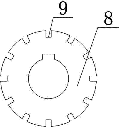 Gear hobber sharpening machine