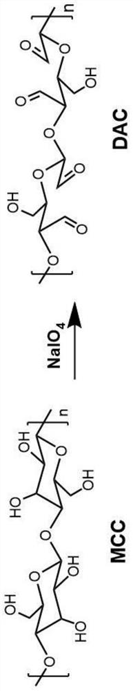 Preparation method of hyperbranched modified cellulose wood adhesive