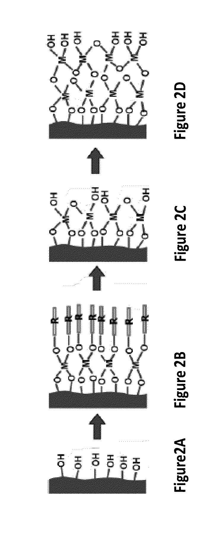 Bio-compatible radiopaque dental fillers for imaging