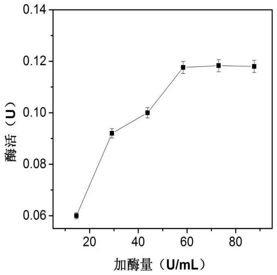 Immobilization method of beta-galactosidase and application of beta-galactosidase in preparation of low-lactose milk