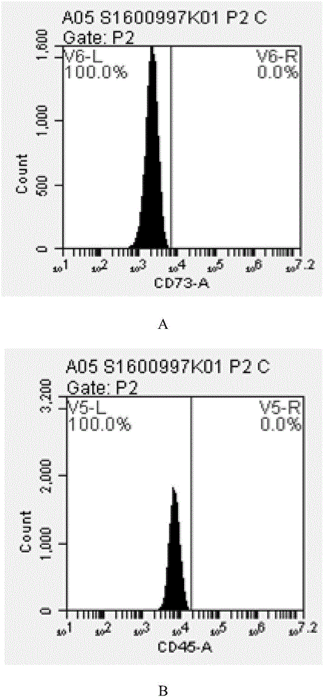 Adipose tissue composite preparation, and preparation method and application thereof