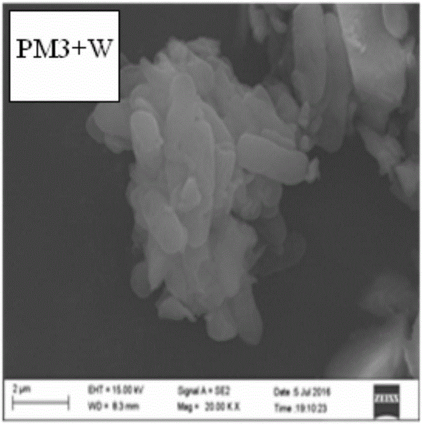 Method for treating domestic wastewater with silicon aluminum ceramic porous material immobilized microorganism