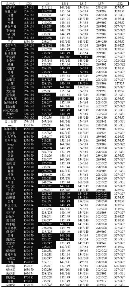 A kind of ssr primer set and application thereof for distinguishing litchi varieties