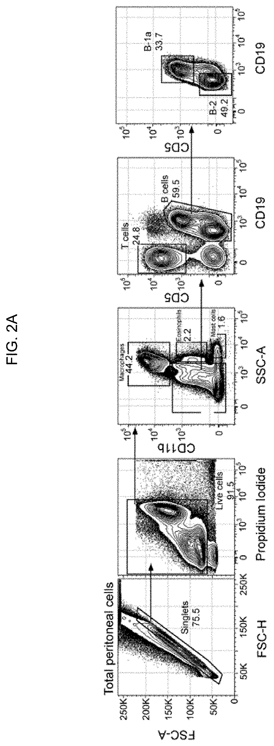 B-1a lymphocyte and/or macrophage targeting and activation to treat medical conditions with inflammatory or autoimmune components