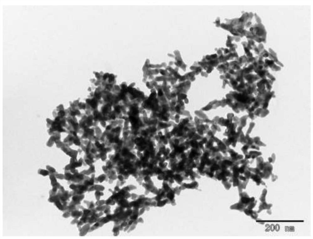 A polymer-dispersed liquid crystal film doped with nanoparticles and its preparation method