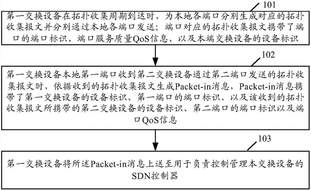 Topology collection method and device