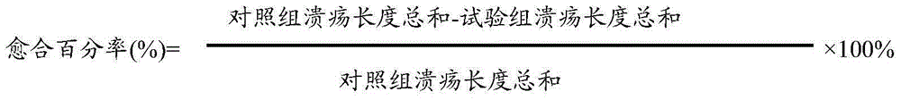 Functional food facilitating recovery of gastric mucosal lesion