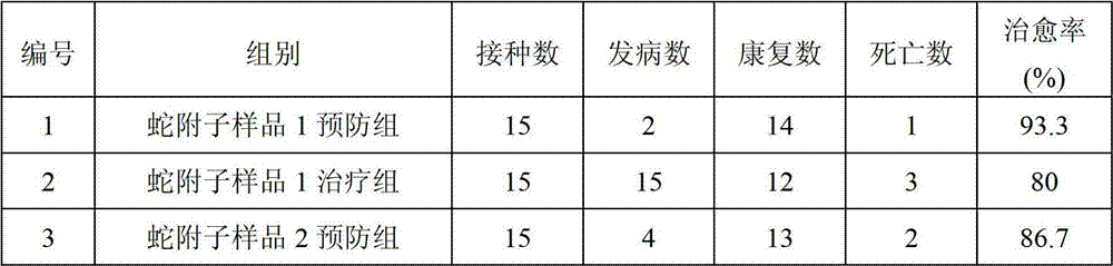 Application of tetrastlgma hemsleyanum in preparing drug for treating livestock viral infectious diseases