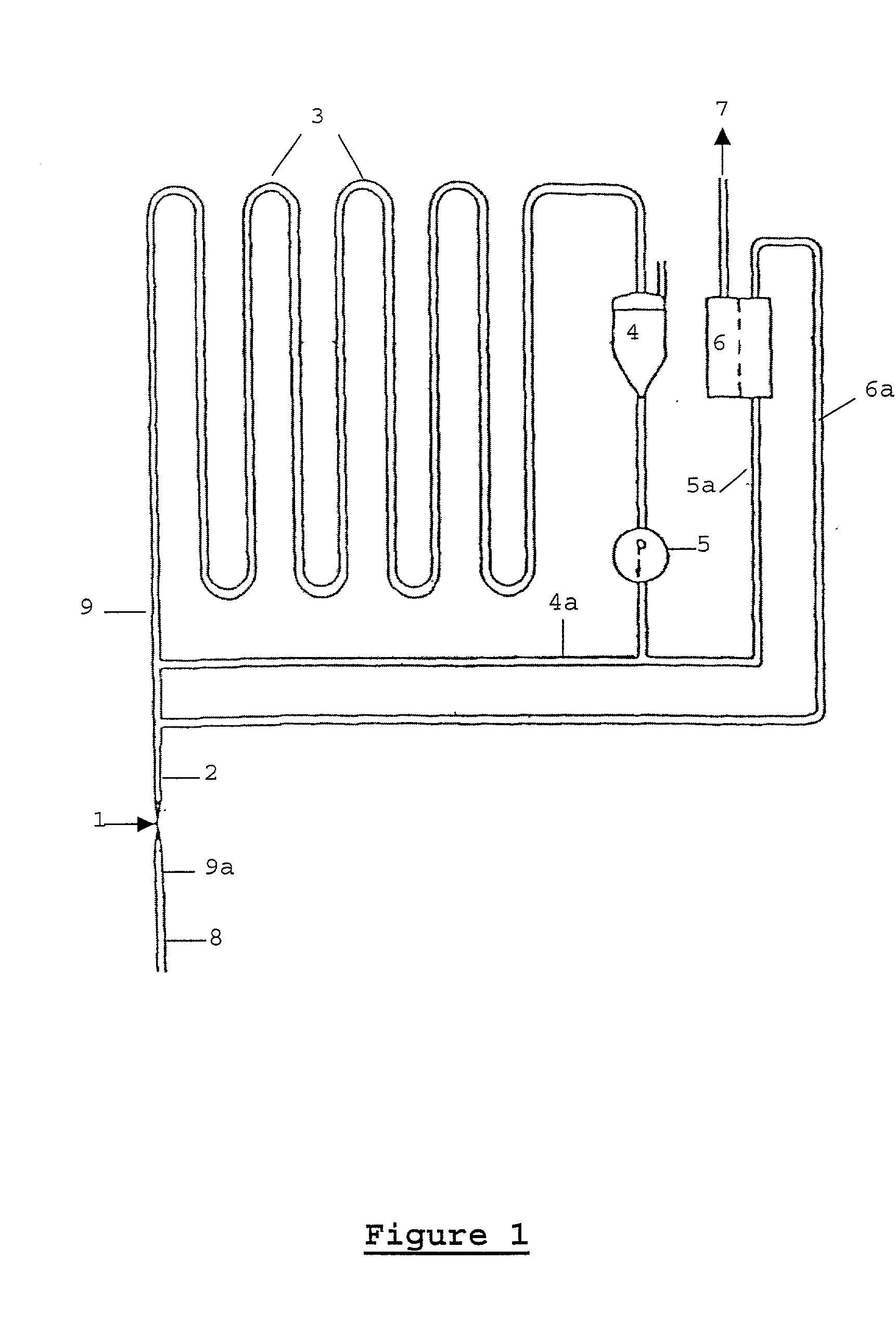 Continuous hydrogenation process