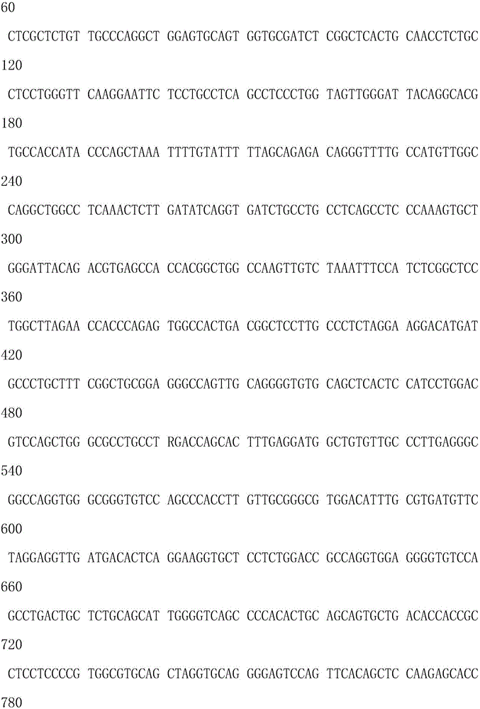 Hebephrenic type schizophrenia associated gene