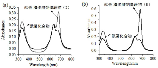 Application of Sodium Alginate as Targeting Carrier of Antineoplastic Drugs