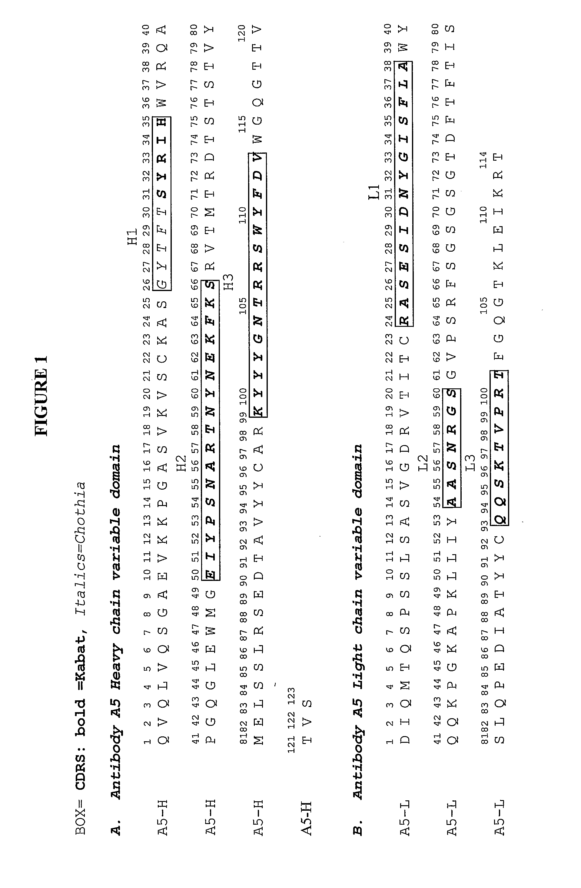 Agonist anti-trkc antibodies and methods using same