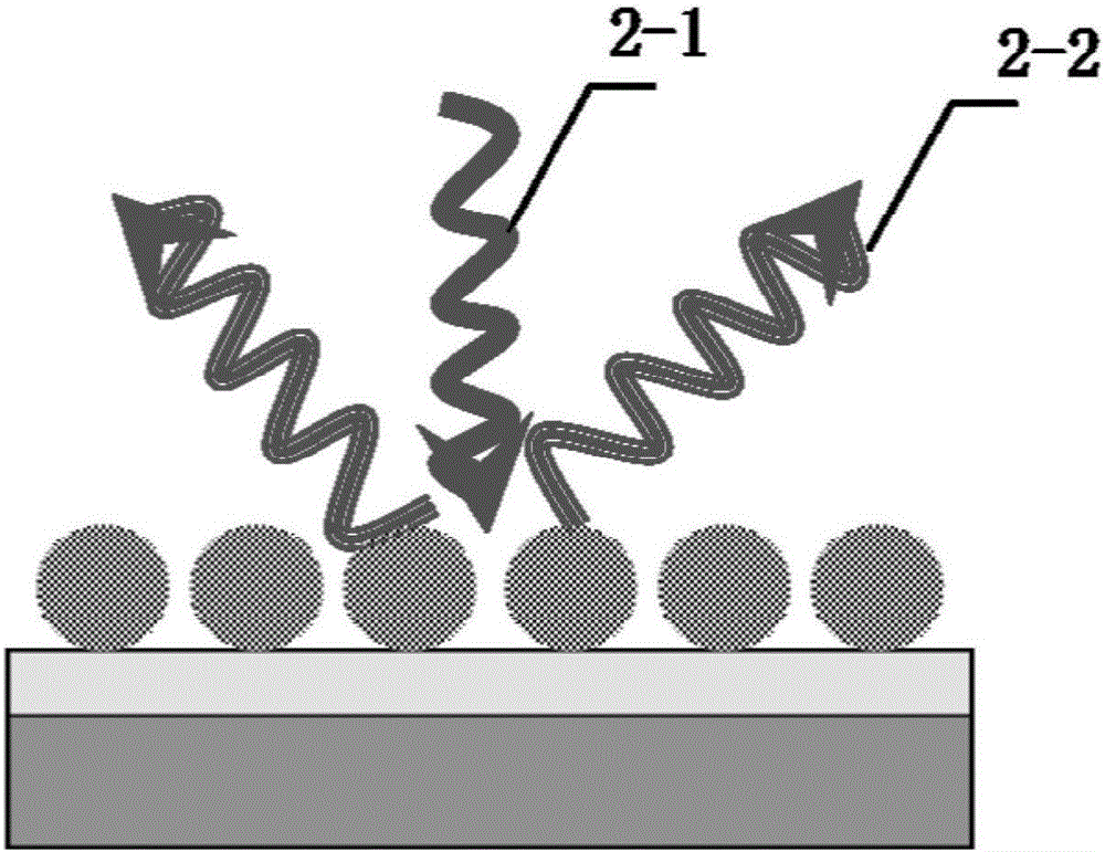 Stress detection and molecular recognition system based on graphene composite structure