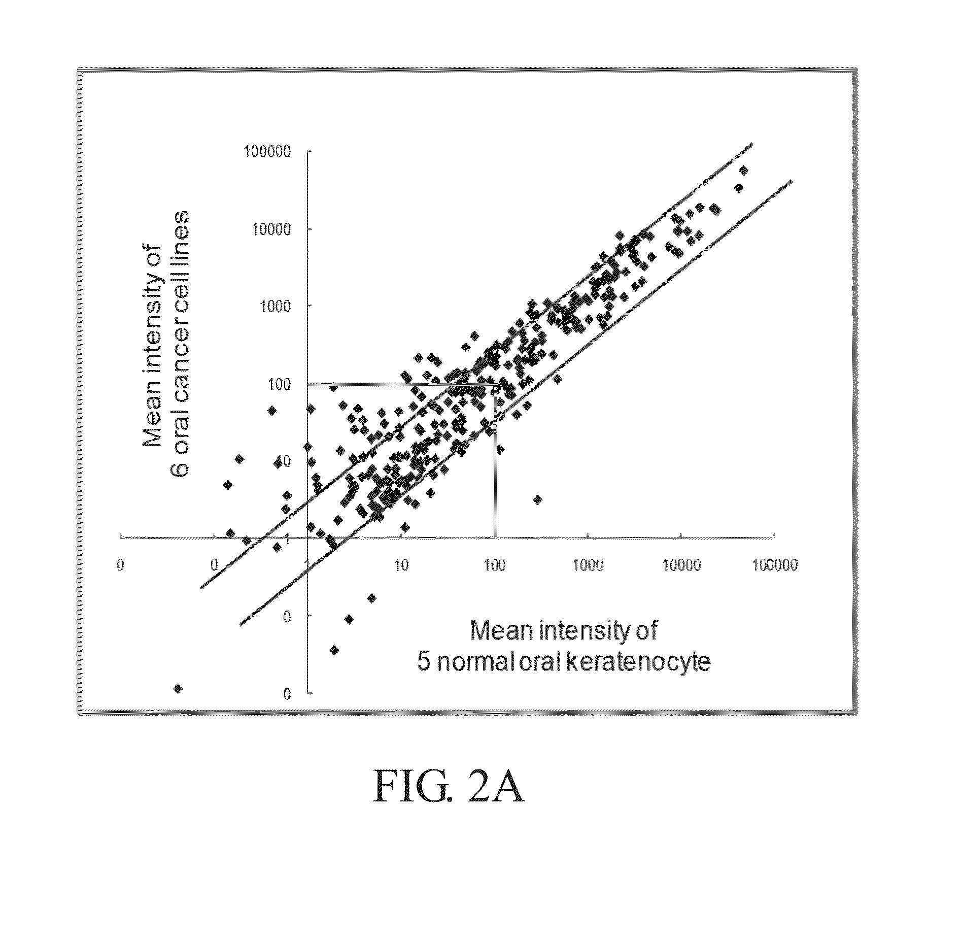 Method of using sequence of antagomir for developing medicine for inhibiting oral cancer cells from spreading