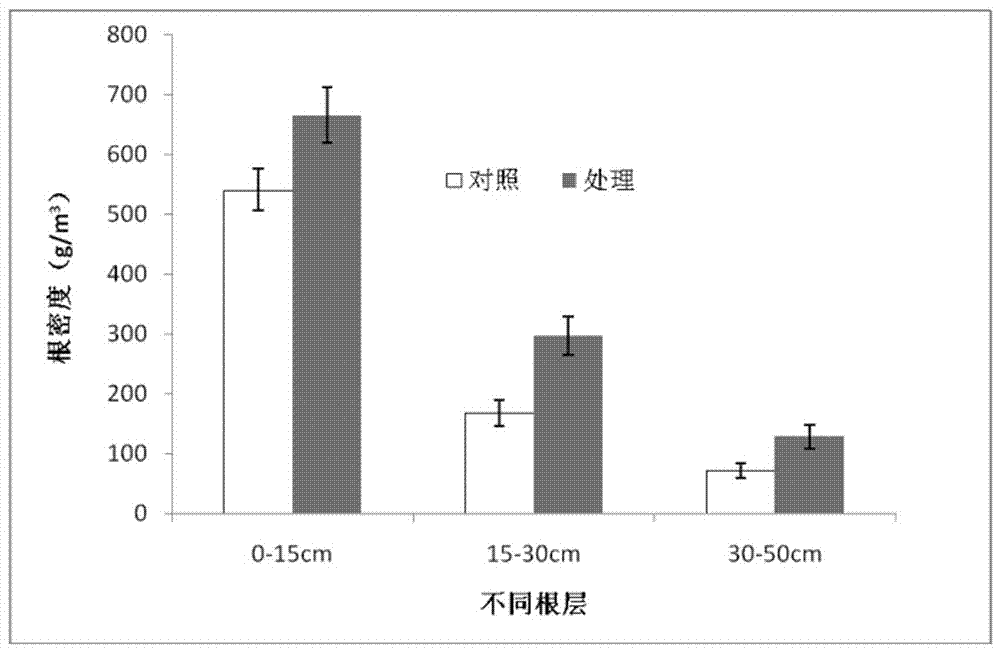 Wheat stubble summer corn drip irrigation water and fertilizer integration cultivation method under no-tillage direct-sowing condition