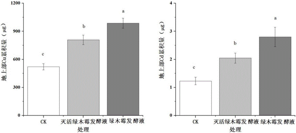 Remediation method for copper and cadmium co-contaminated soil