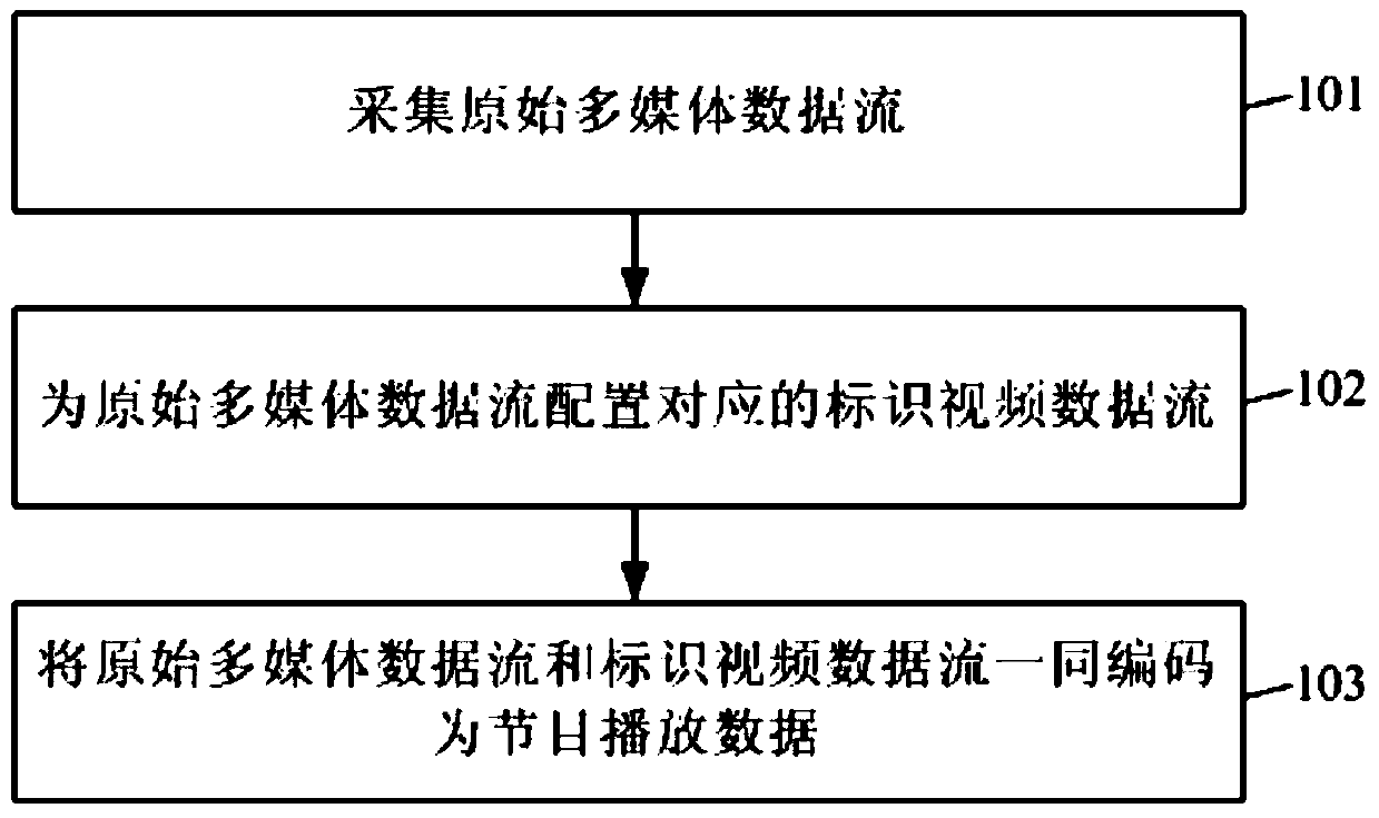 Multimedia encoding method and system, recording method, operation method, media server