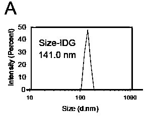 Nano-drug delivery system loaded with disulfiram and photosensitizer indocyanine green based on low-generation PAMAM dendrimer and application of nano-drug delivery system