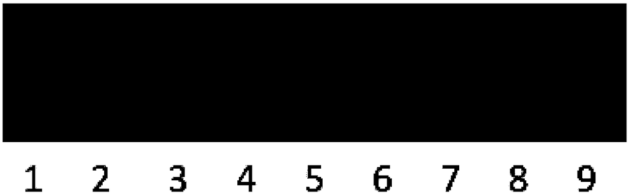 Indoor identification method for resistance of peanut pods to Aspergillus flavus infection and application of indoor identification method