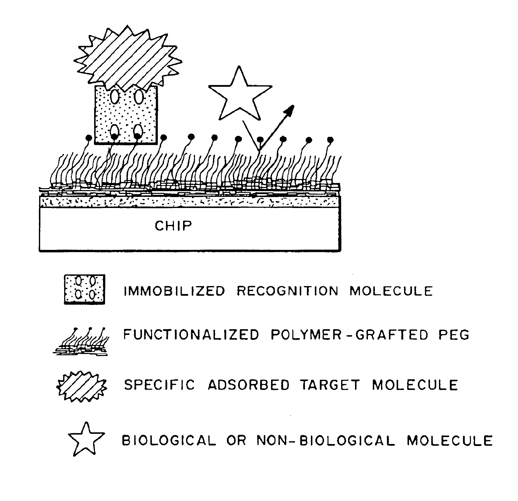 Multifunctional polymeric surface coatings in analytic and sensor devices