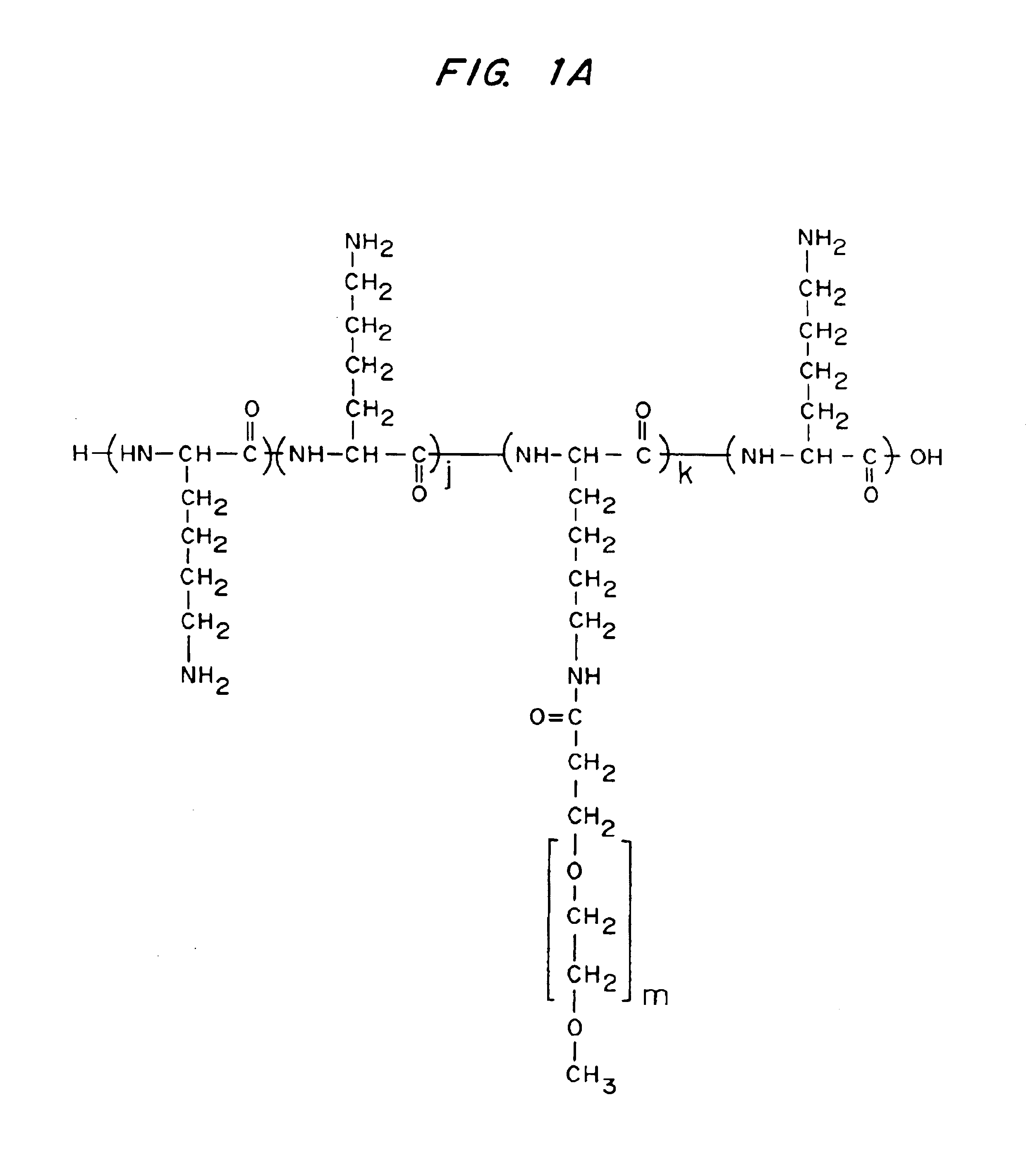 Multifunctional polymeric surface coatings in analytic and sensor devices