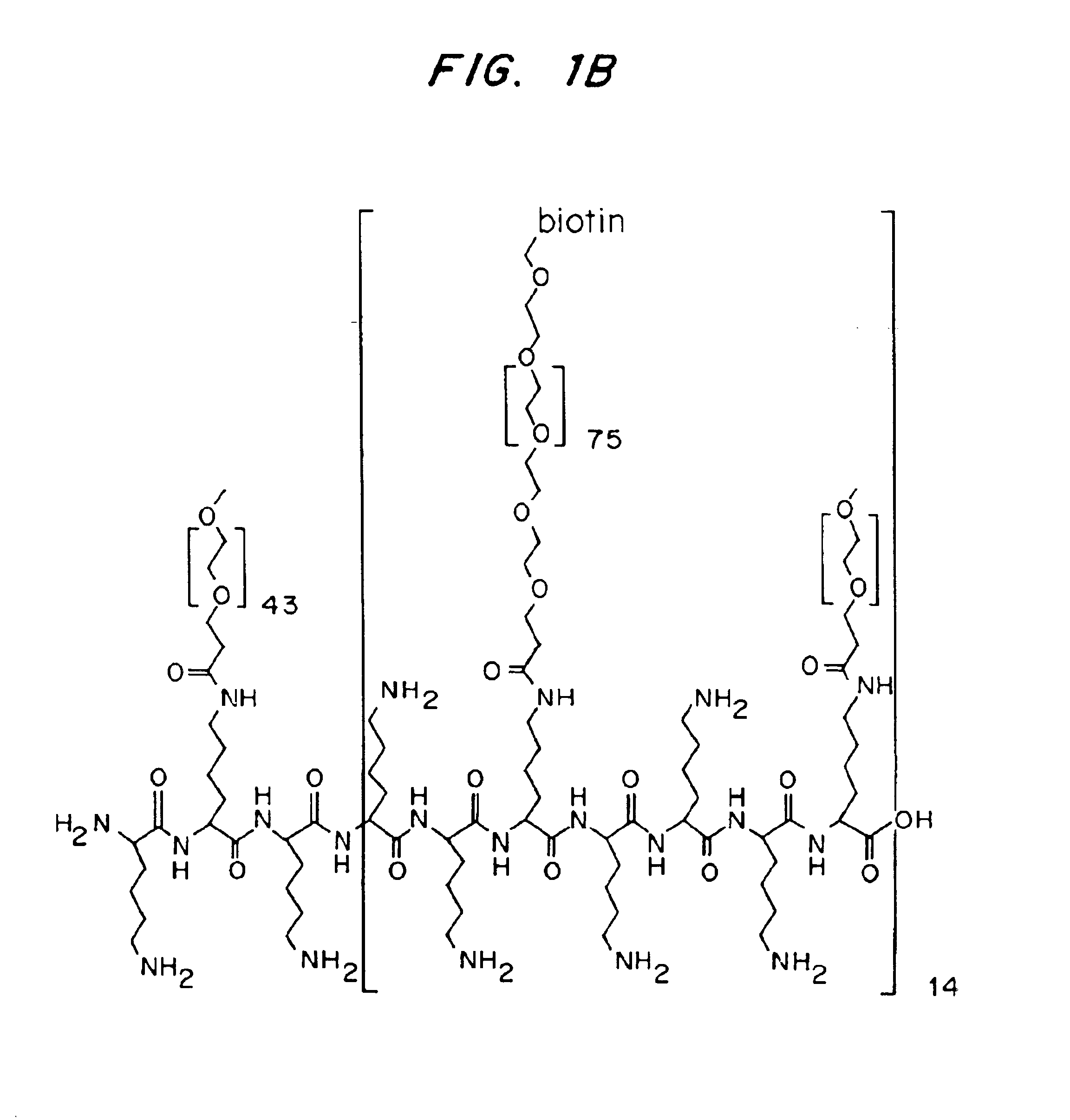 Multifunctional polymeric surface coatings in analytic and sensor devices