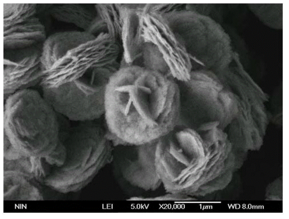 Method for preparing fluorine-mixed bismuth tungstate powder through microwave hydrothermal method