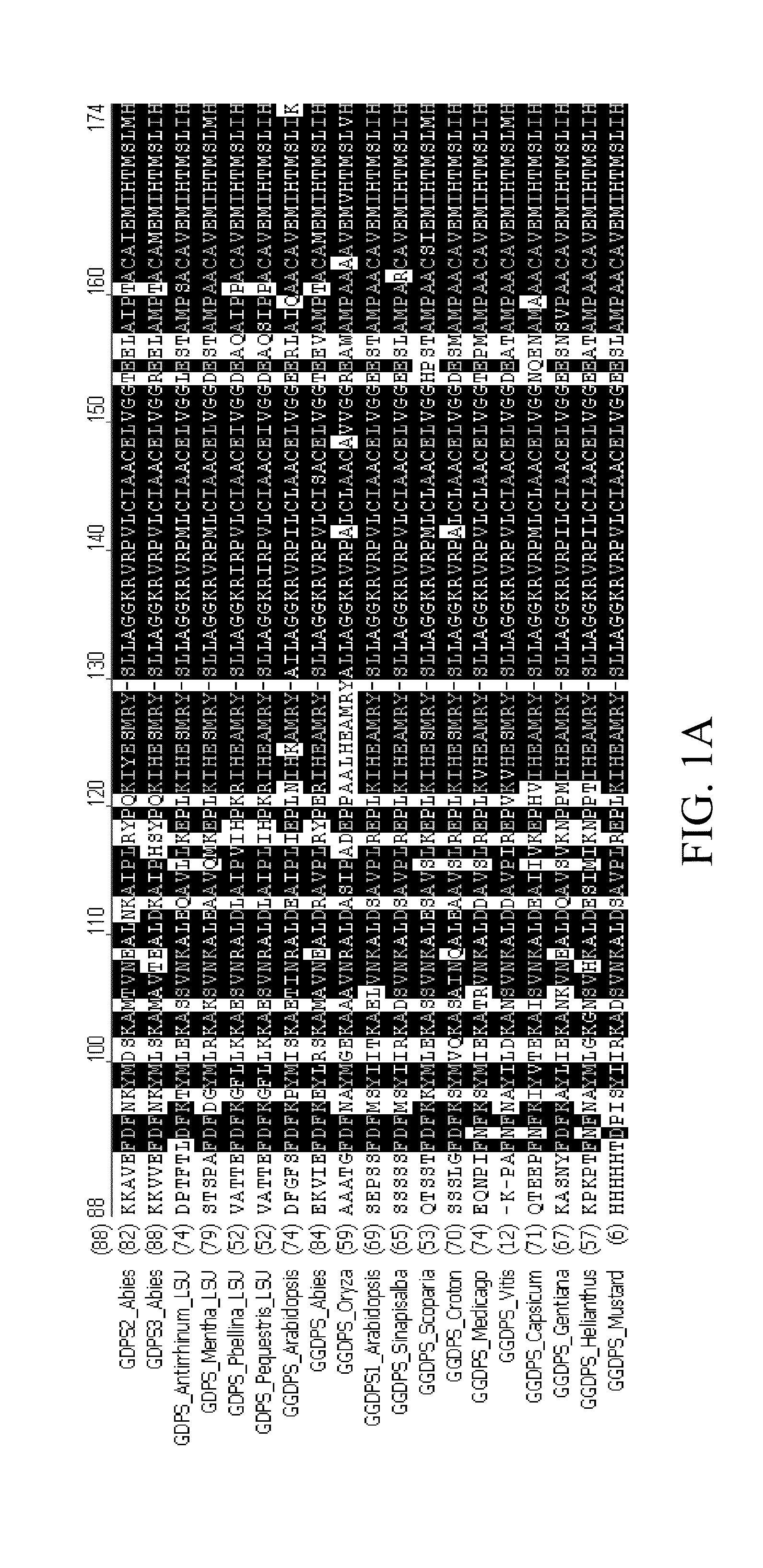 Gene, protein, protein complex and method for improving aroma production in a plant