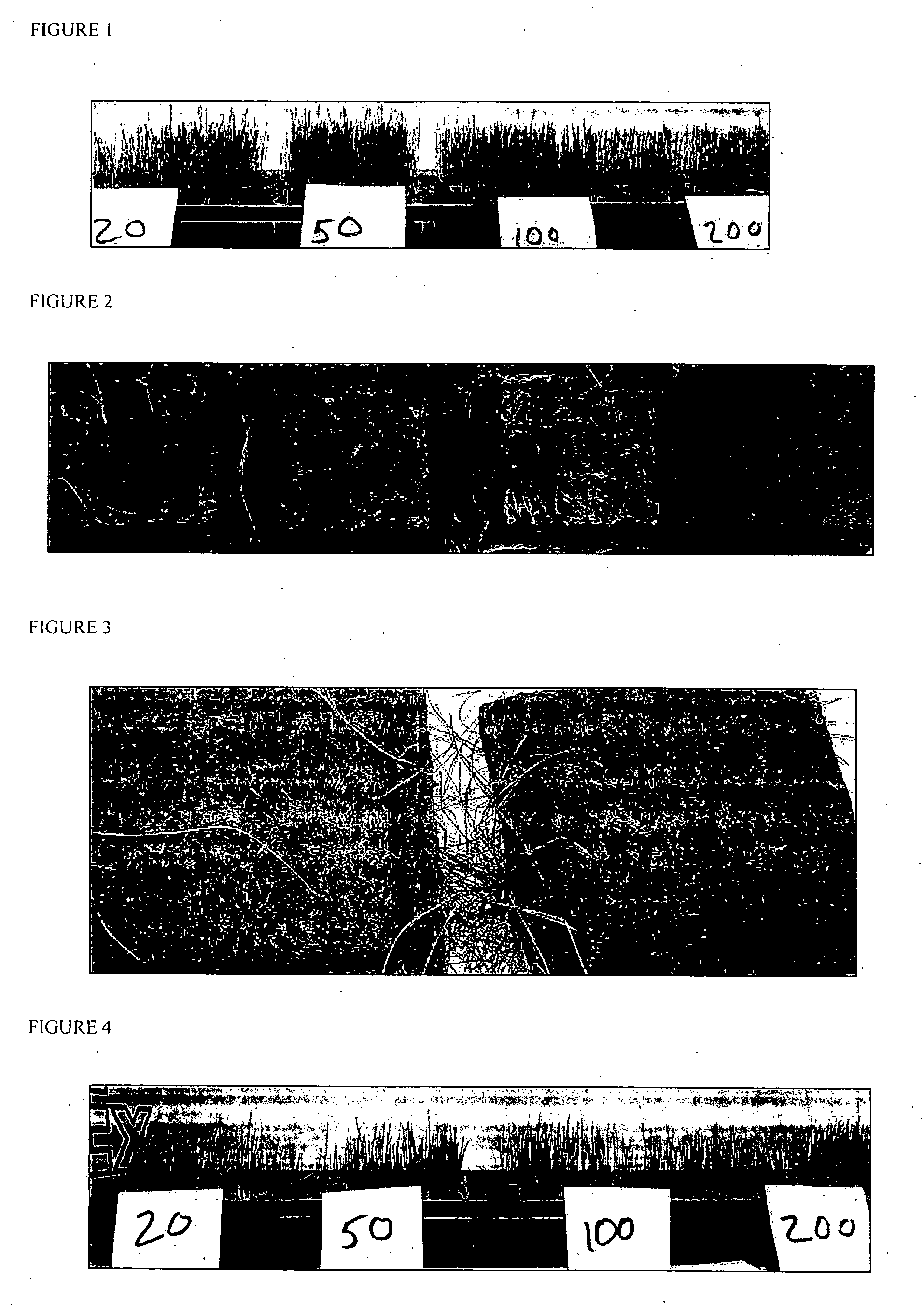 Method and compositions for improving plant growth