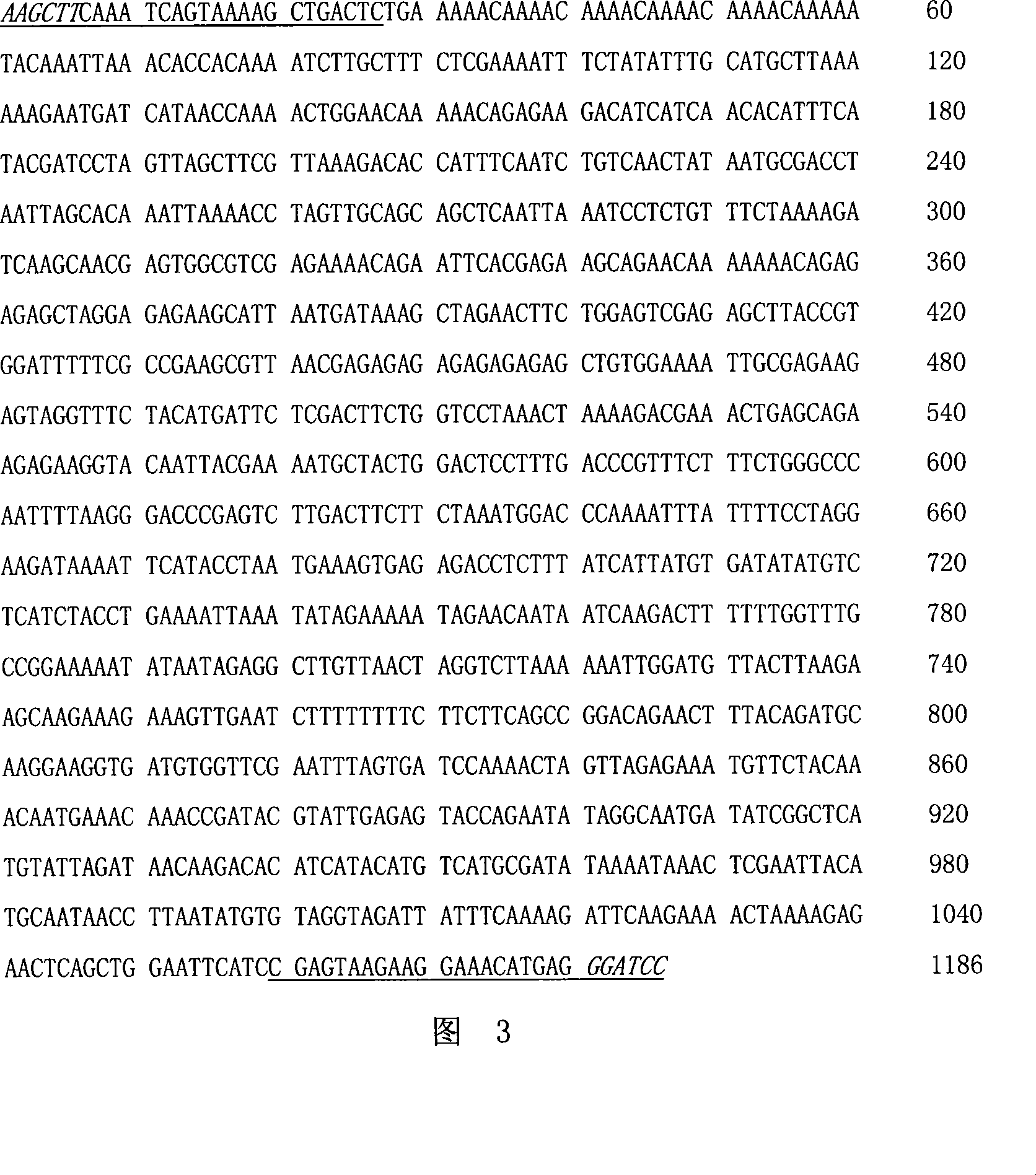 Plants flower pesticide specificity promoter and uses thereof