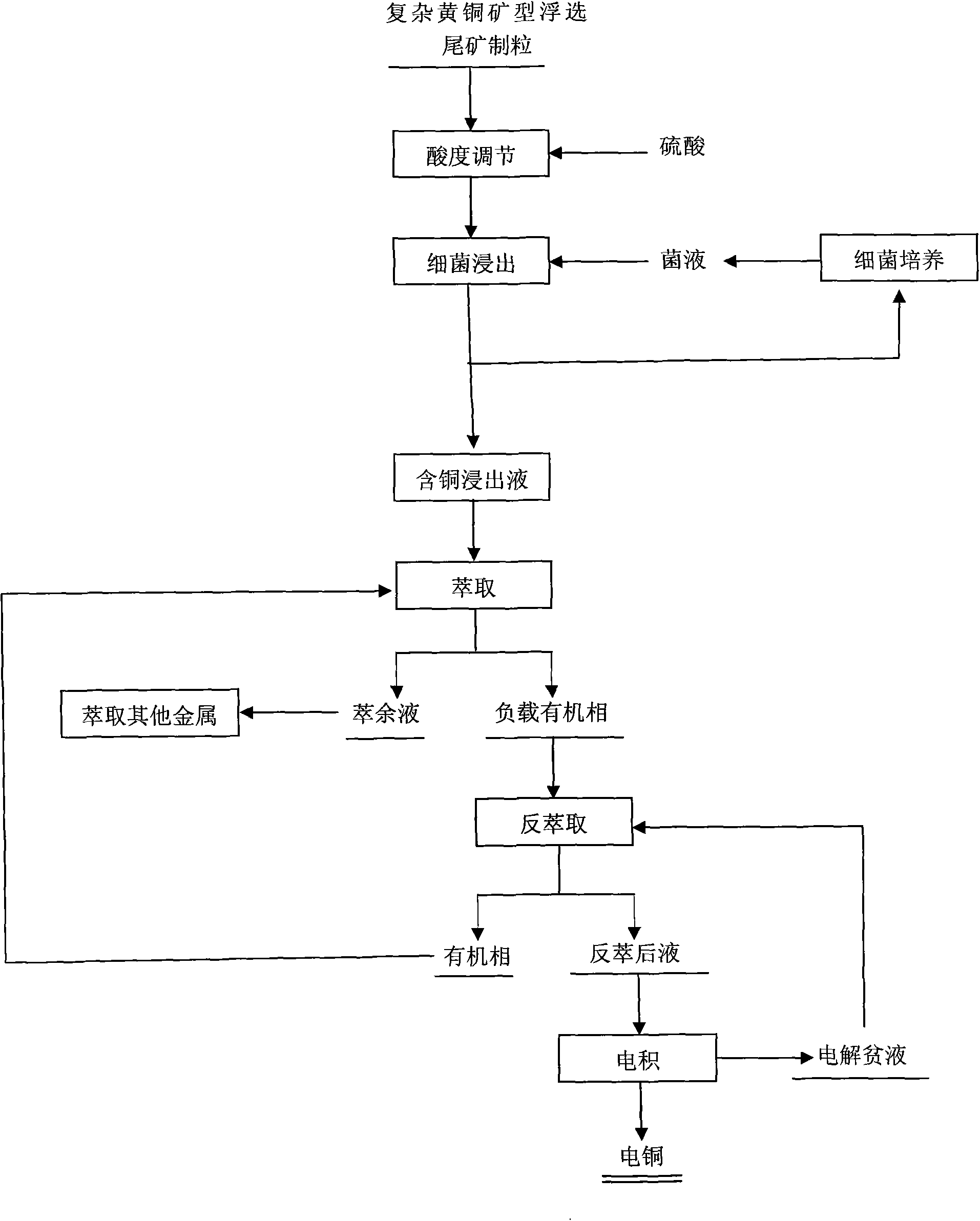 Bacterial leaching copper method of complex chalcopyrite flotation tailings