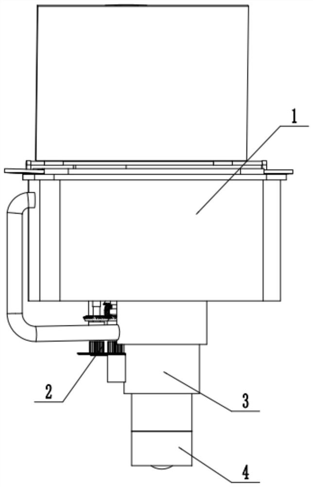 An automatic vegetable cleaning device