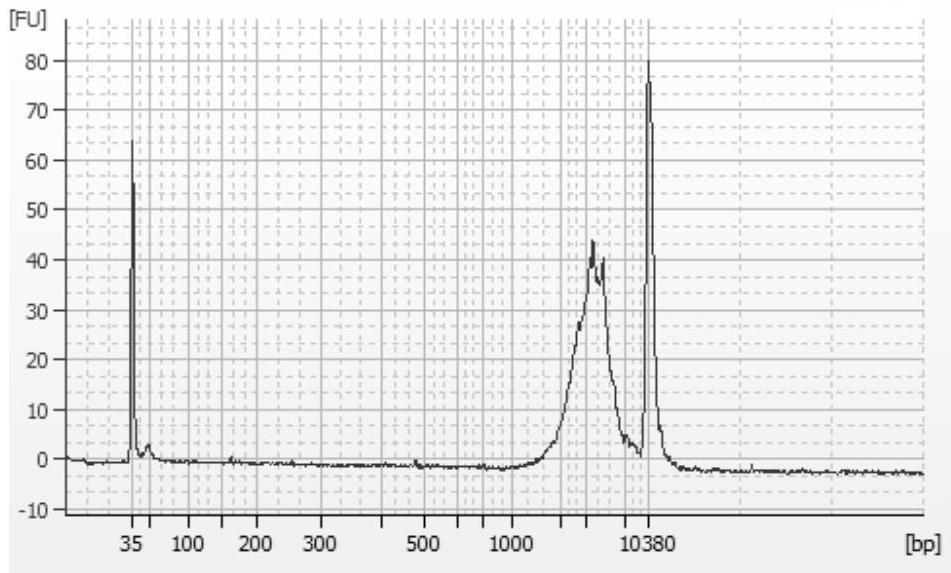 An rna quality control product of a lung cancer fusion gene detection kit that can be stored stably