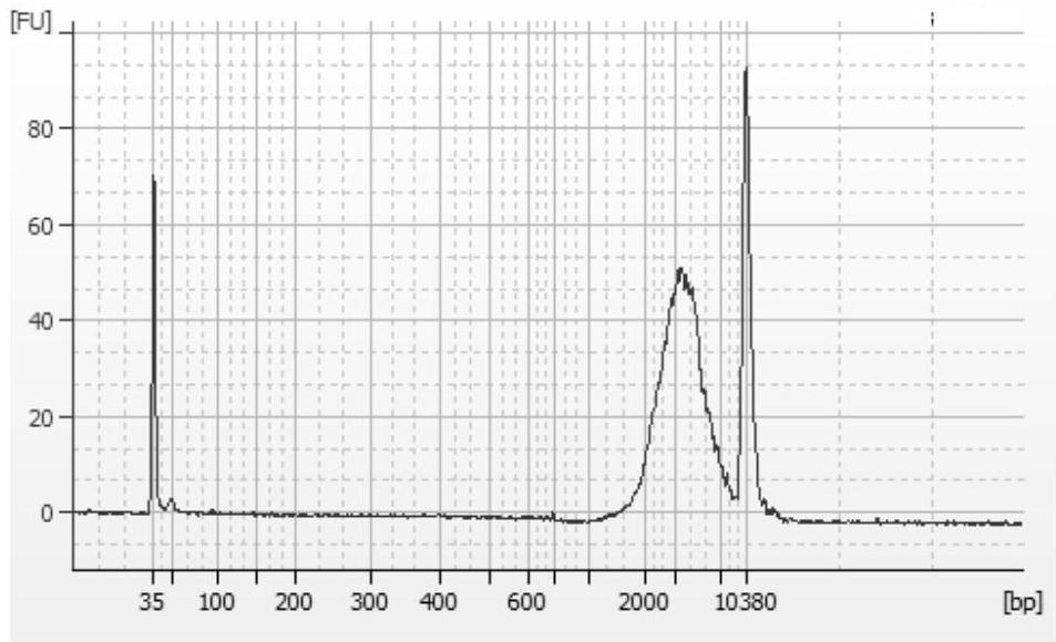 An rna quality control product of a lung cancer fusion gene detection kit that can be stored stably