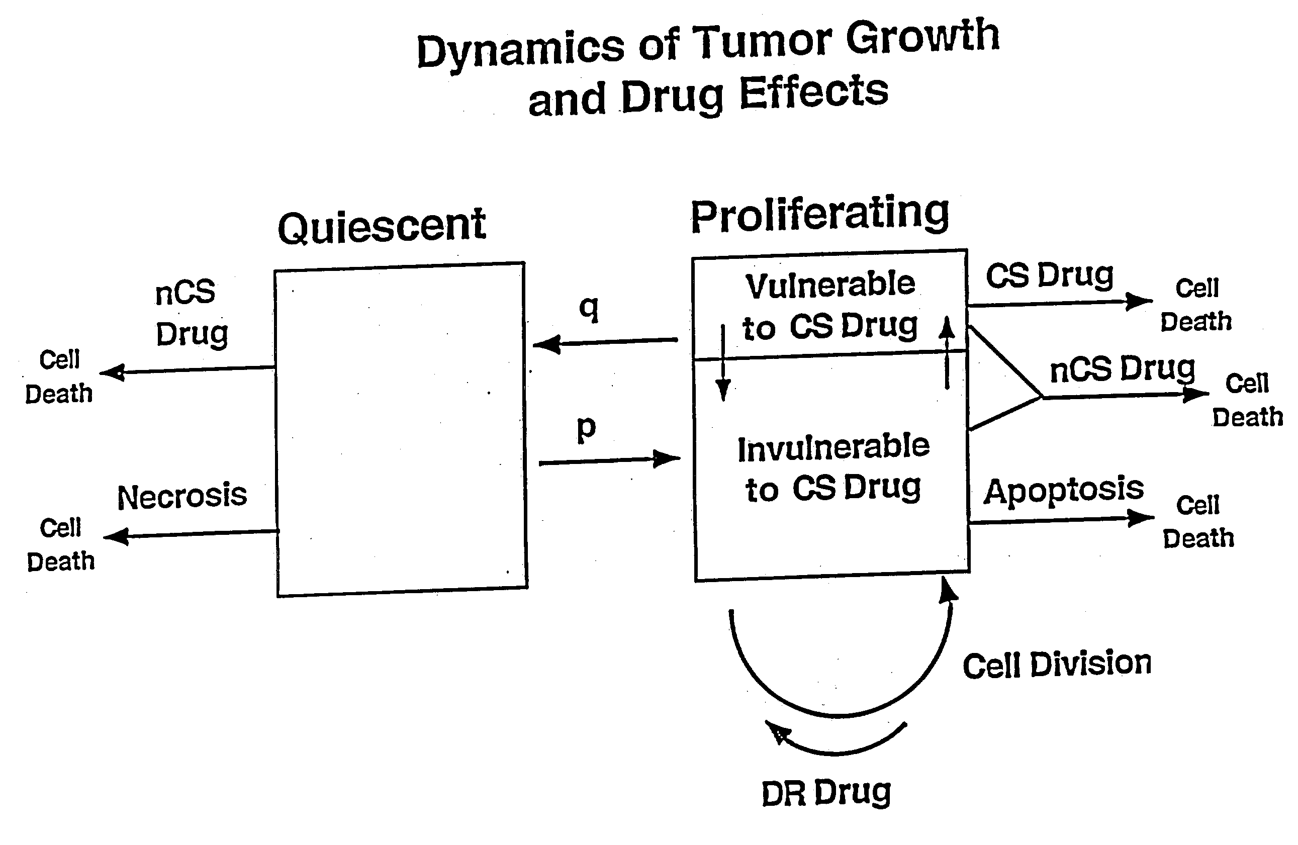 Computational model, method, and system for kinetically-tailoring multi-drug chemotherapy for individuals