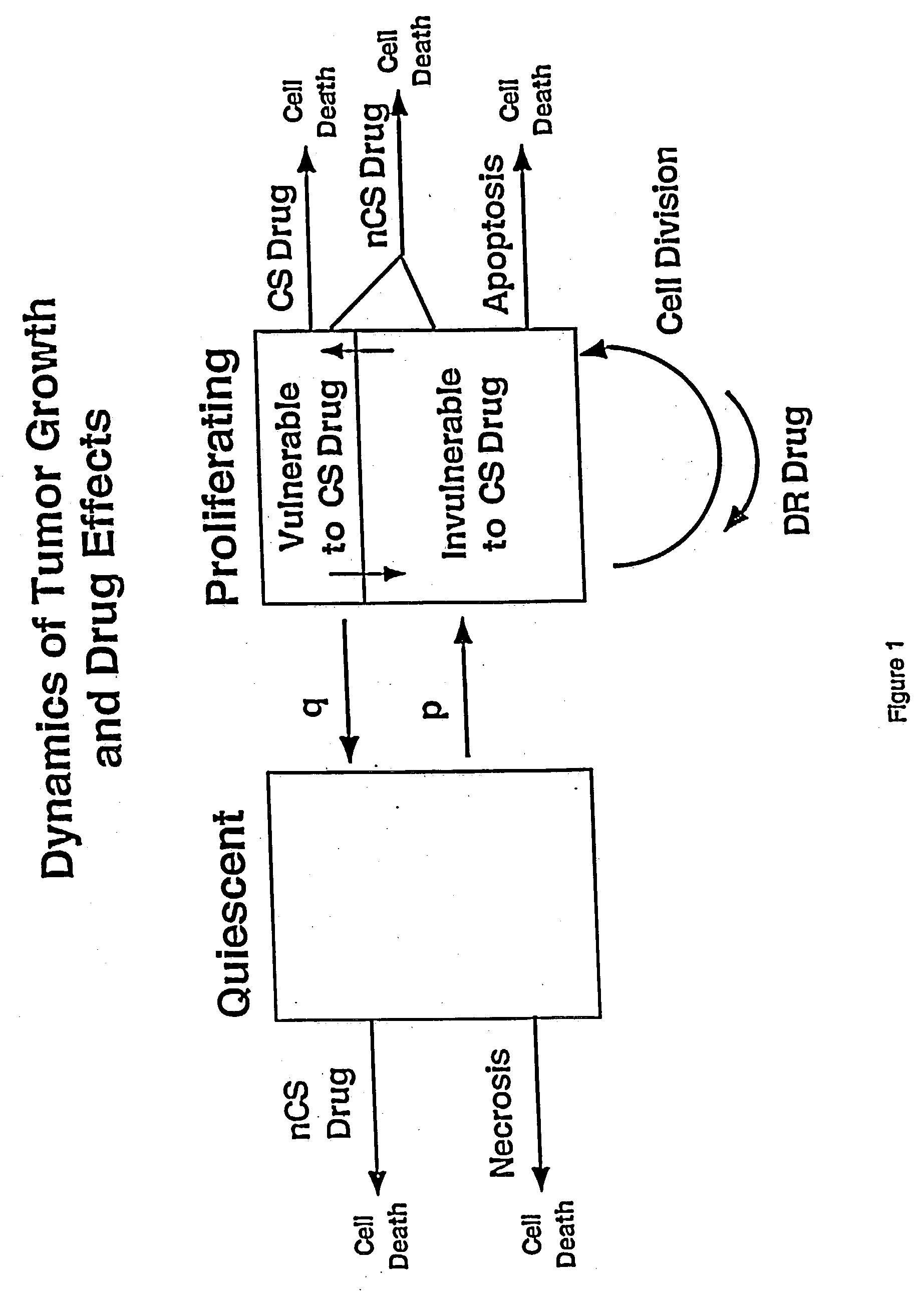 Computational model, method, and system for kinetically-tailoring multi-drug chemotherapy for individuals