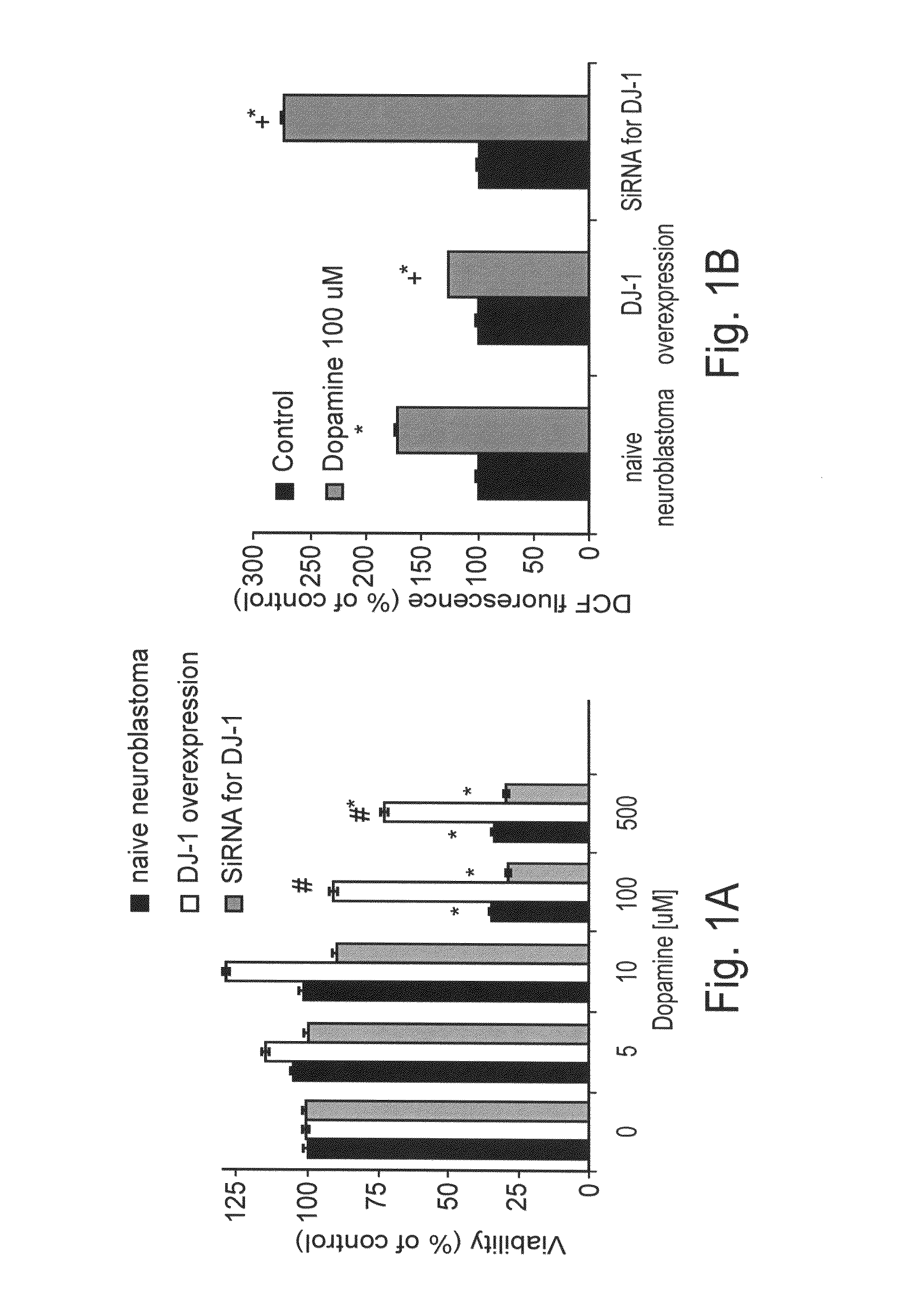 Peptides for the regulation of neurotransmitter sequestration and release