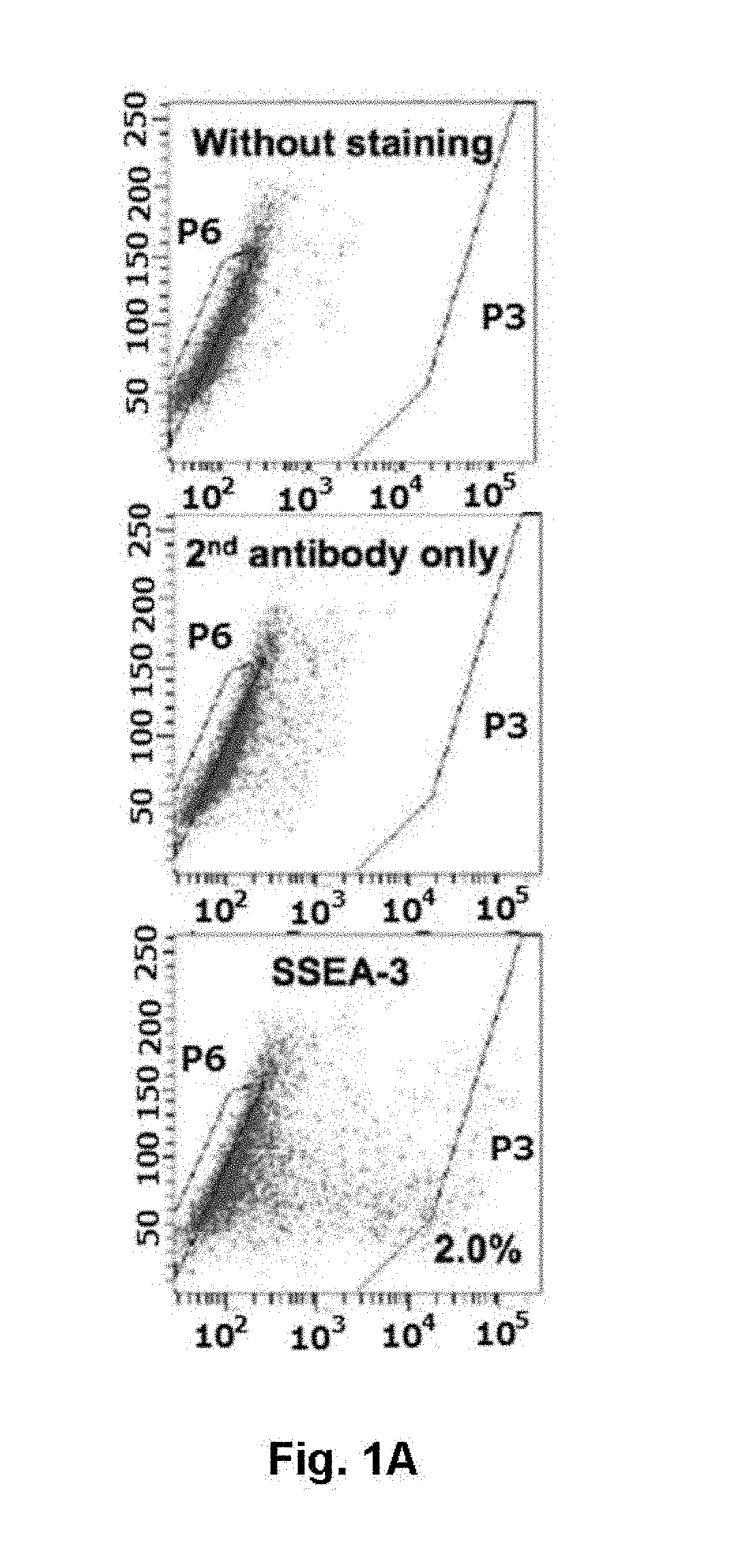 Prophylactic or therapeutic agent for organ fibrosis