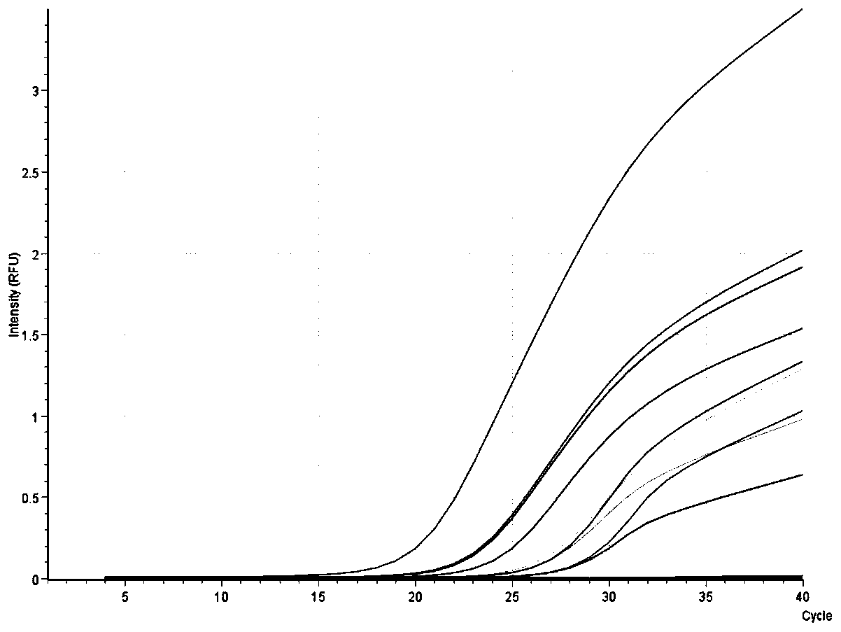 Fluorescent quantitative PCR on-site rapid detection kit for African swine fever virus