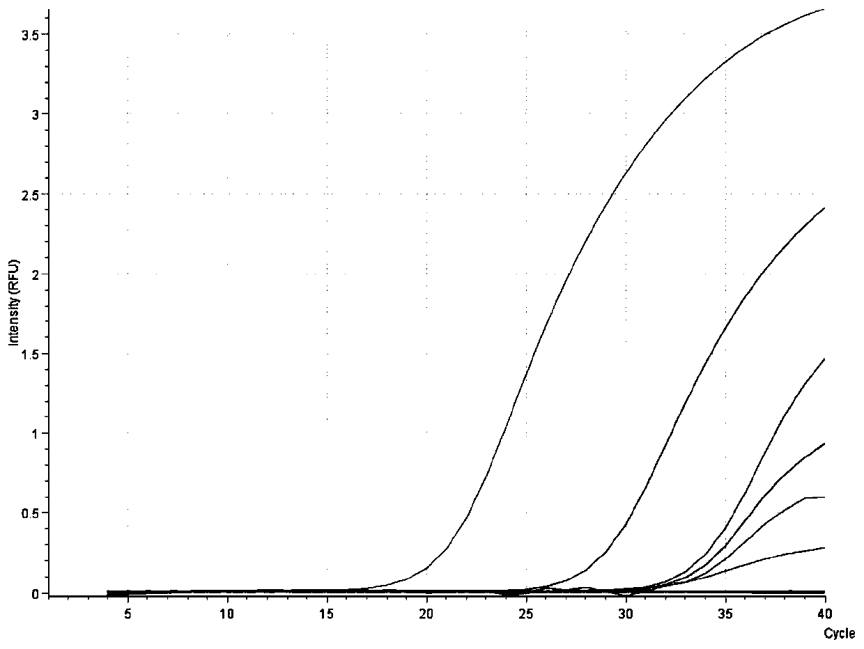 Fluorescent quantitative PCR on-site rapid detection kit for African swine fever virus