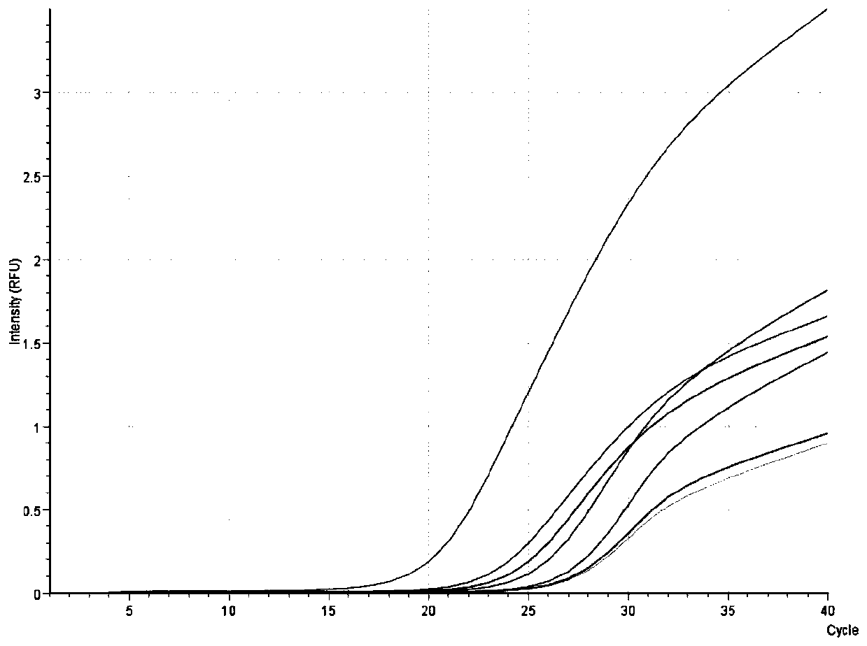 Fluorescent quantitative PCR on-site rapid detection kit for African swine fever virus