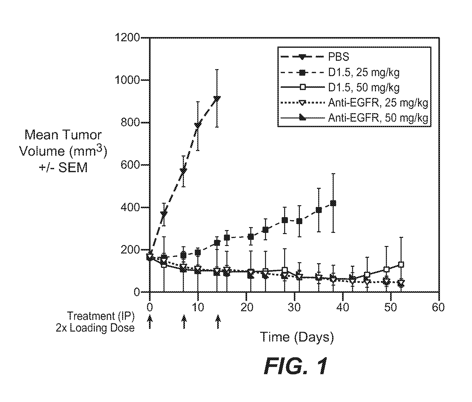 Bispecific Anti-her antibodies