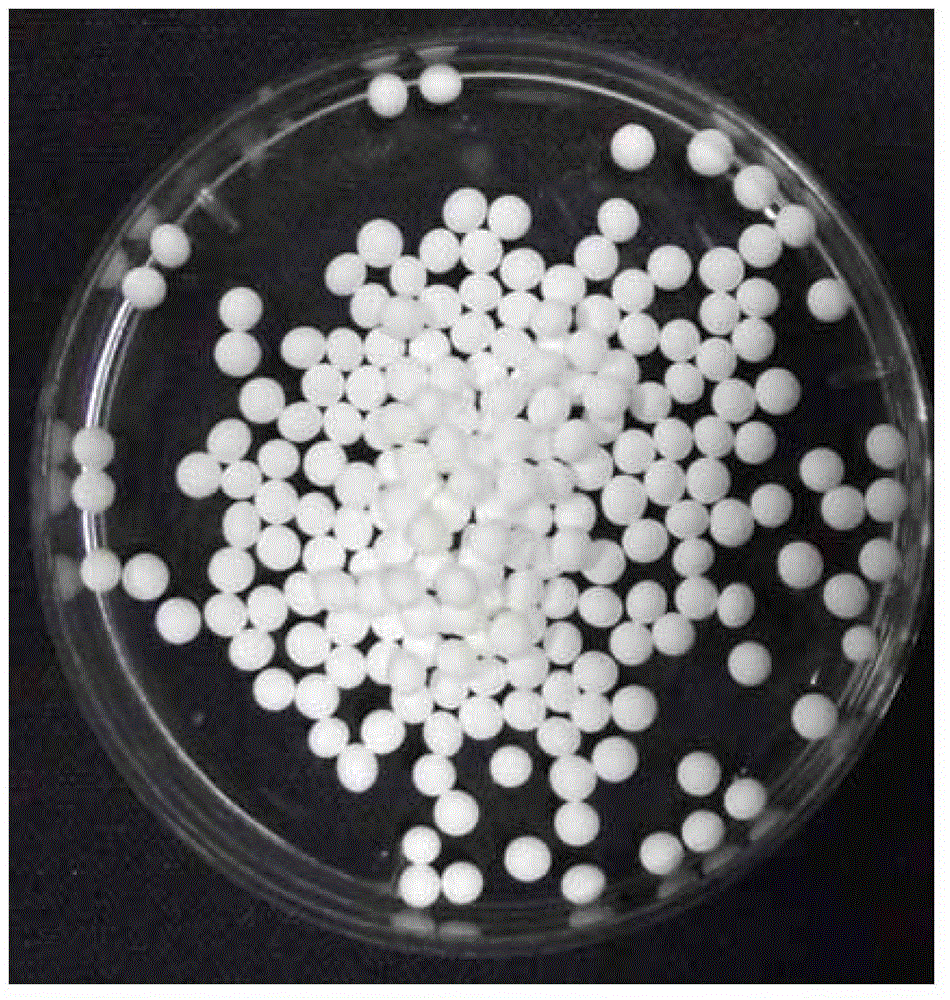 Method for preparing spherical alumina particles by alginic acid auxiliary forming method