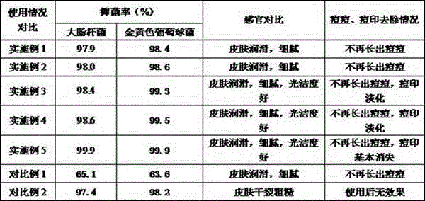 Natural herb skin-care soap and preparation method thereof